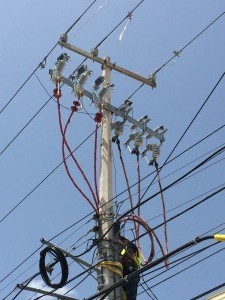 IMG 0061  